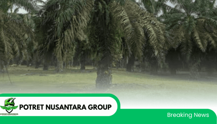 Pembagian DBH Sawit Dinilai Janggal, Warga Luyo dan Tenggelang Protes