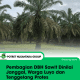 Pembagian DBH Sawit Dinilai Janggal, Warga Luyo dan Tenggelang Protes