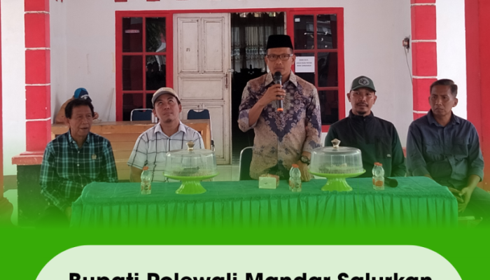 Bupati Polewali Mandar Salurkan 170 Ekor Bibit Kambing Untuk Perkuat Ekonomi Masyarakat