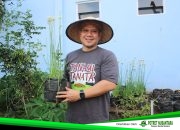 Mengurai Masalah Sampah Kota melalui Urban Farming