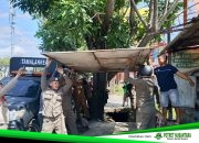 Penataan PKL Tamalanrea Dilakukan Persuasif, 25 Lapak Dibongkar Mandiri