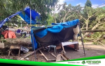Pohon Tumbang di Sport Center Rusak Lapak UMKM dan Sepeda Motor