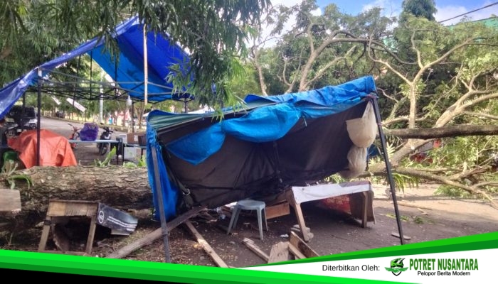 Pohon Tumbang di Sport Center Rusak Lapak UMKM dan Sepeda Motor