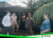 Respons Aduan Warga, Kandang Babi Sudah Dibersihkan, Lokasi Kini Steril