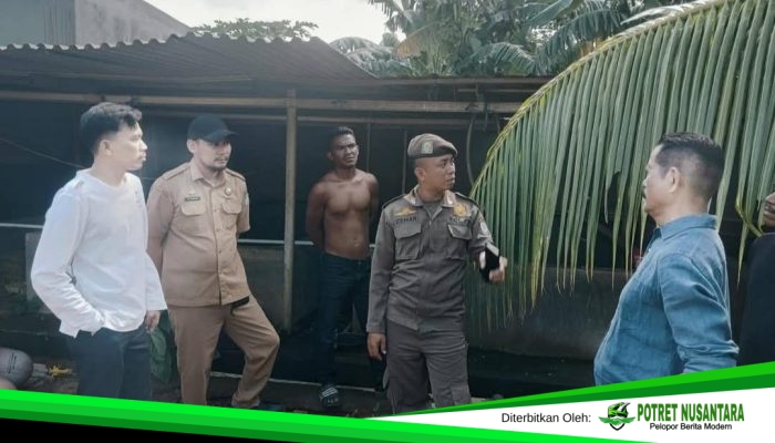 Respons Aduan Warga, Kandang Babi Sudah Dibersihkan, Lokasi Kini Steril