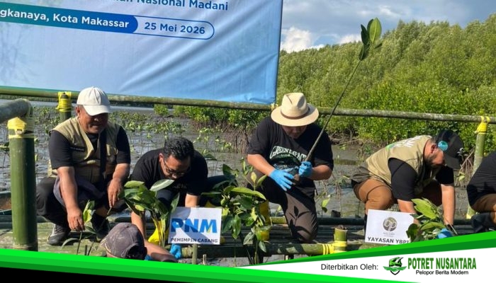 Menanam Masa Depan: PNM, BRINS, dan Yayasan Buttaporea Tanam 7.000 Mangrove di Pesisir Untia Makassar