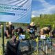Menanam Masa Depan: PNM, BRINS, dan Yayasan Buttaporea Tanam 7.000 Mangrove di Pesisir Untia Makassar