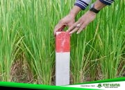 Pasang Patok Batas Tanah, ATR/BPN: Langkah Sederhana Cegah Sengketa Lahan