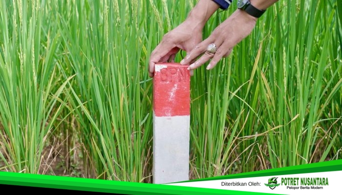 Pasang Patok Batas Tanah, ATR/BPN: Langkah Sederhana Cegah Sengketa Lahan