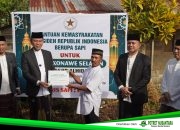 Lautan Kepedulian di Idul Adha! Pemkab Konsel Salurkan Sapi Kurban Presiden Prabowo 910 Kg untuk Warga