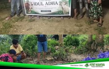 Idul Adha Penuh Berkah, PT KAP Salurkan Hewan Kurban hingga Door to Door untuk Warga Horodopi