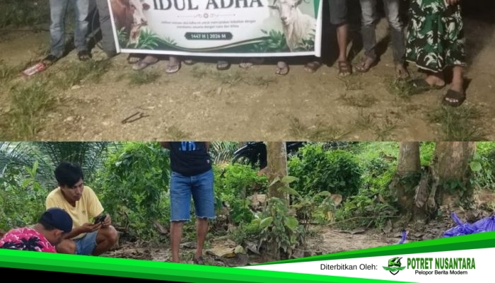 Idul Adha Penuh Berkah, PT KAP Salurkan Hewan Kurban hingga Door to Door untuk Warga Horodopi