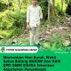 Momentum Hari Buruh, Wakil Ketua Bidang HUKUM dan HAM DPD GMNI SULTRA Tekankan Kepatuhan Perusahaan terhadap UU Ketenagakerjaan