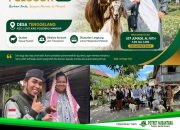 Tebar Qurban Pelosok 2026: Delapan Kambing dan Tiga Sapi Hadirkan Senyum Warga Pedalaman Polewali Mandar