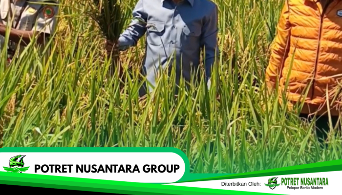 Bupati Polman Buka Tudang Sipulung Maduppa Bua Ase di Desa Ugi Baru Bahas Modernisasi Pertanian