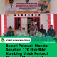 Bupati Polewali Mandar Salurkan 170 Ekor Bibit Kambing Untuk Perkuat Ekonomi Masyarakat