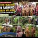 Perkuat Ketahanan Pangan, Munafri Instruksikan Urban Farming di Seluruh Wilayah untuk Pasok Program MBG