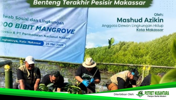 Menanam Harapan di Lumpur Untia: Saat Mangrove Menjadi Benteng Terakhir Pesisir Makassar