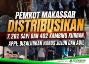 Pemkot Makassar Distribusikan 7.261 Sapi dan 402 Kambing Kurban, Appi: Disalurkan Harus Jujur dan Adil