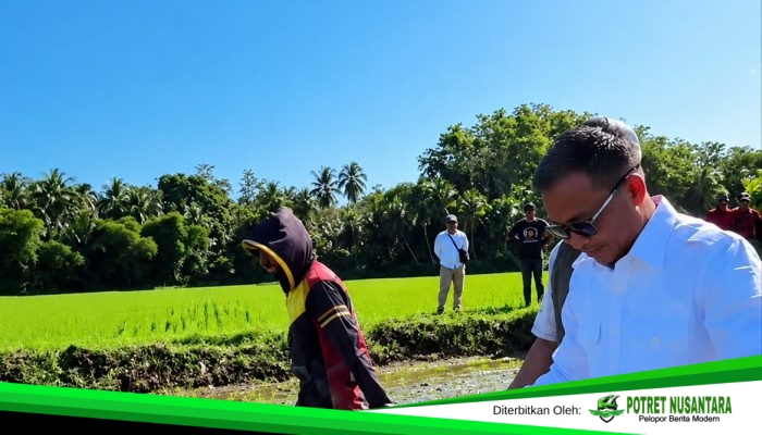 Bupati Polman Dorong Modernisasi Pertanian, Rice Transplanter Diklaim Hemat Biaya dan Tingkatkan Produksi