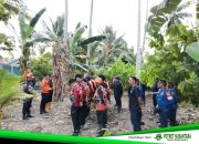 Damkar Polman Perkuat Pencarian Dua Anak Korban Hanyut di Sungai Maloso