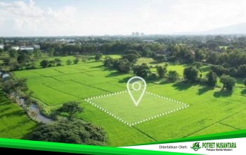 Pemisahan Bidang Tanah, Solusi Memisahkan Sebagian Lahan Tanpa Menghapus Sertipikat Induk