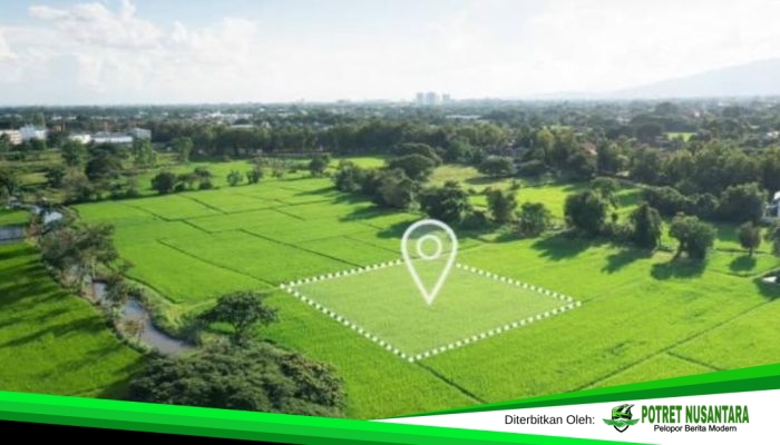 Pemisahan Bidang Tanah, Solusi Memisahkan Sebagian Lahan Tanpa Menghapus Sertipikat Induk