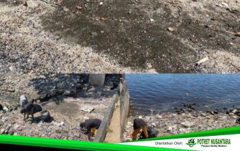 Soal Video Viral Petugas di Losari, Camat Ujung Pandang Minta Publik Cek Fakta Sebelum Menyebarkan Informasi
