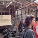 Aksi Demostrasi Masih Berlangsung, Korban Mulai Berdatangan ke Kantor PNM Wonomulyo