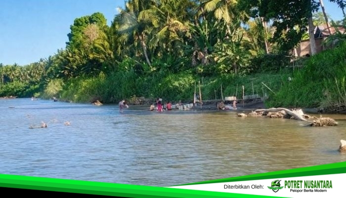 Kemarau Panjang Landa Polman, Warga Katumbangan Andalkan Sungai Maloso untuk Air Konsumsi