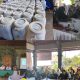 Ekologi Kepercayaan: Belajar dari Desa Gulingan Menyapu Masa Depan