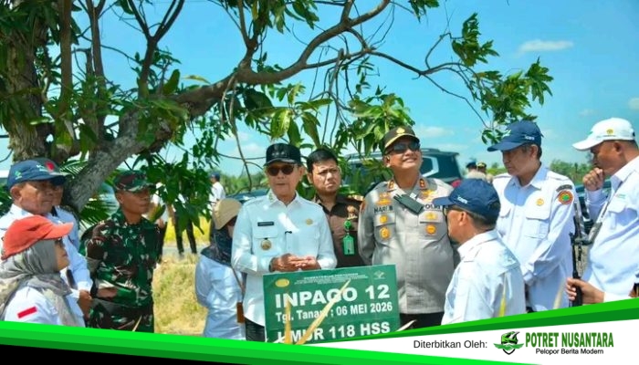 Panen 10,4 Ton per Hektare, PM-AAS Buka Harapan Baru Pertanian Soppeng