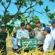 Panen 10,4 Ton per Hektare, PM-AAS Buka Harapan Baru Pertanian Soppeng