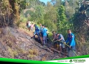 Lima Hari Polman Dikepung Api, 8 Kebakaran Terjadi dan 7 Hektare Lahan Ludes