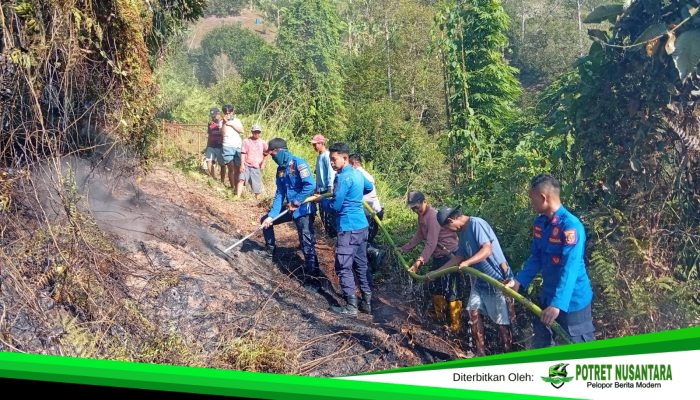 Lima Hari Polman Dikepung Api, 8 Kebakaran Terjadi dan 7 Hektare Lahan Ludes