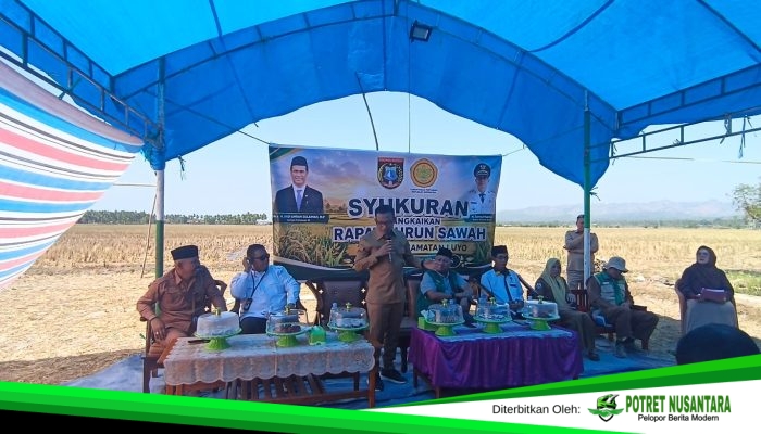 Bupati Polman Tantang Petani Luyo Dongkrak Produksi, PM-AAS Tembus 12 Ton per Hektare