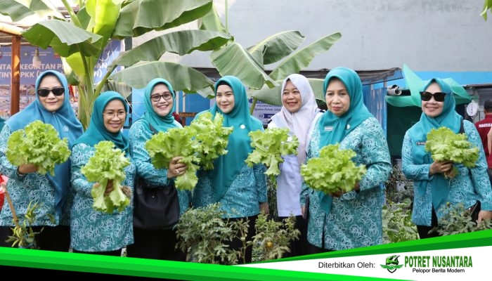 Dorong Ketahanan Pangan Keluarga, TP PKK Makassar Nilai Kebun Aku Hatinya PKK
