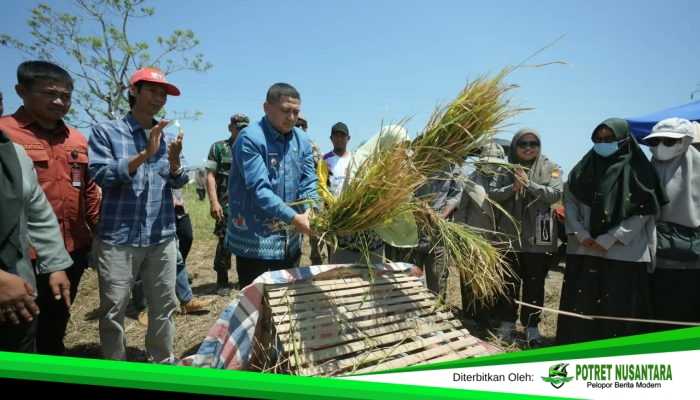 Hadapi Musim Kering, Pemkot Perkuat Dukungan Sarana Pertanian dan Teknologi untuk Petani Makassar