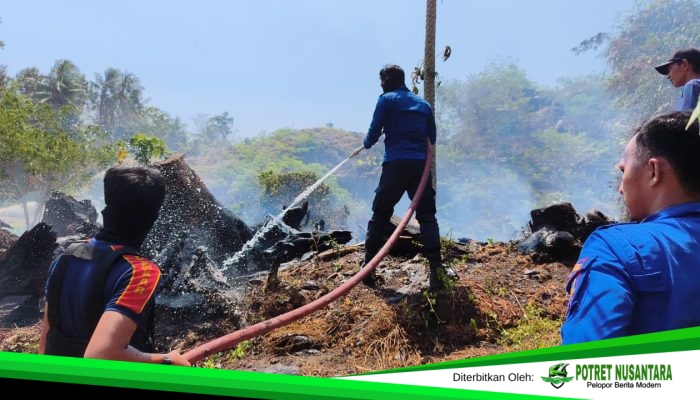 5,21 Hektare Lahan Hangus Terbakar di Dua Kecamatan di Polman