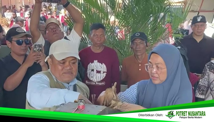 Buku untuk Anak, Pelajaran untuk Orang Dewasa