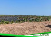 Dua Karhutla di Polman Lahap 42,88 Hektare, Satgas Wanti-wanti Ancaman Kemarau