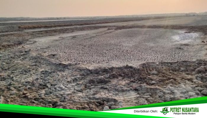 Kemarau Keringkan Empang, Nelayan di Polman Rugi 10 Ribu Bibit Bandeng
