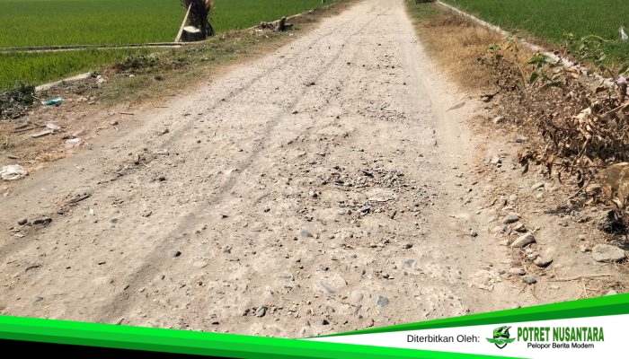 HUT Sulbar ke-22 Dirayakan, Warga Masih Keluhkan Jalan Rusak hingga Gagal Panen