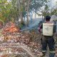 30 Hektare Lahan Warga Terbakar di Landi Kanusuang